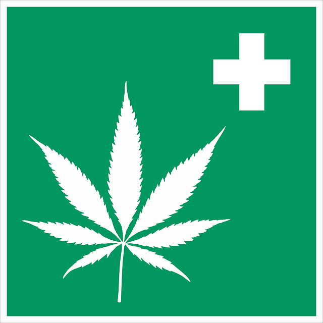 cannabis-2273795_640.png