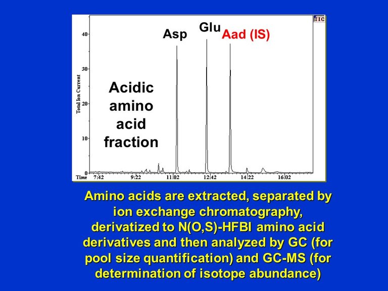 PlantMetabolicFluxAnalysis3.jpg