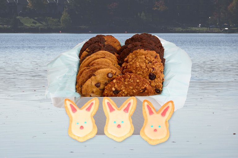 Boxed-Cookies-with-3-bunnies-2-b.jpg
