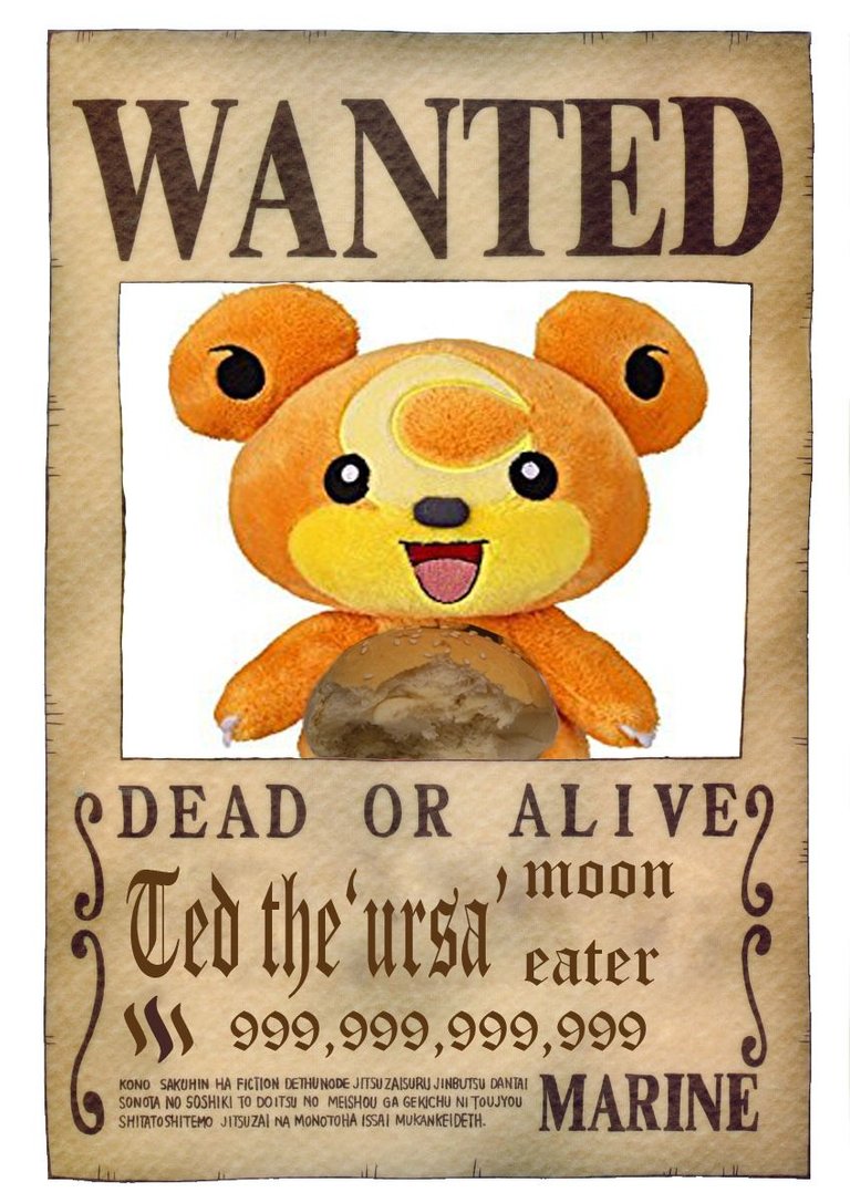 one_piece_wanted_poster_by_ei819 copy.jpg