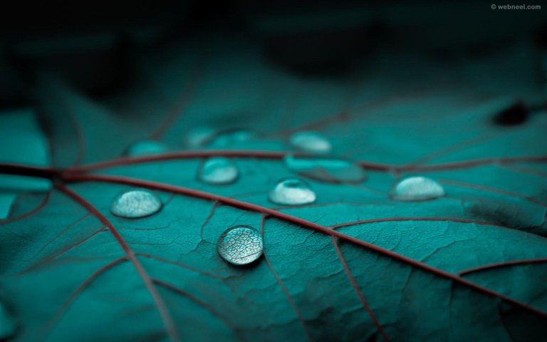 36-rain-wallpaper-drops.jpg