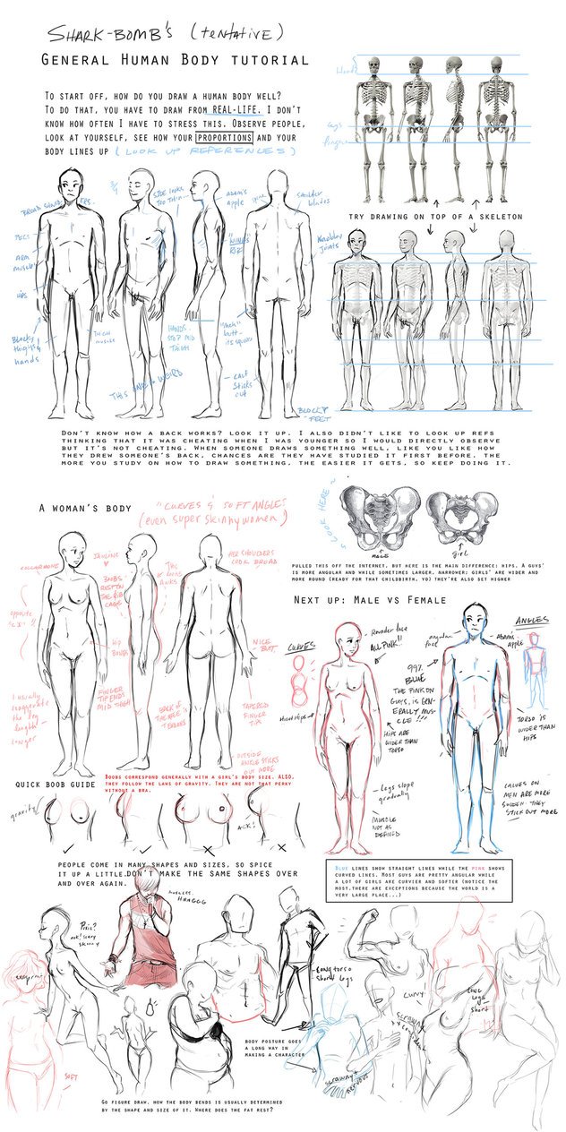 general_body_tutorial_by_shark_bomb-d5rc5k0.jpg