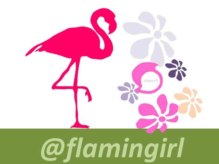 flamingo.jpg