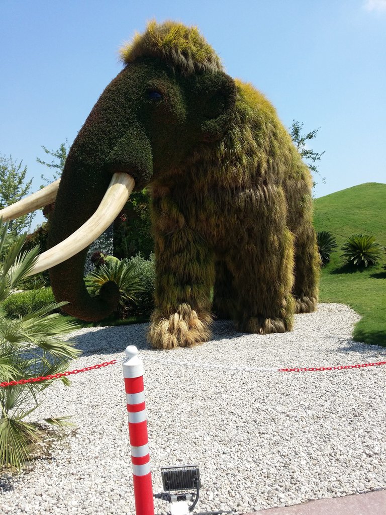 20160715_145646.jpg