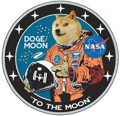 dogemoon.jpg