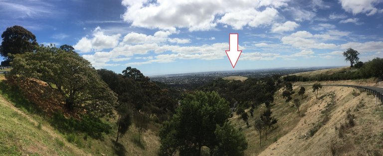 found mt osmond.jpg