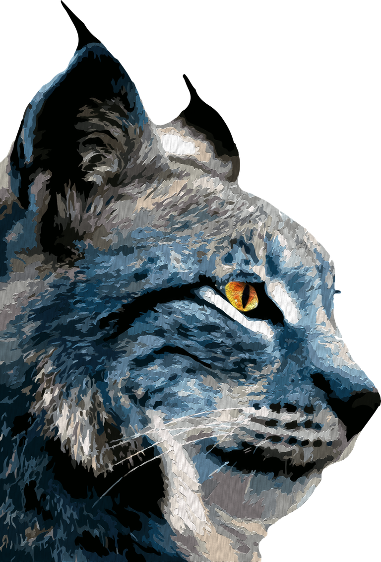 lince perfil vector 5.png