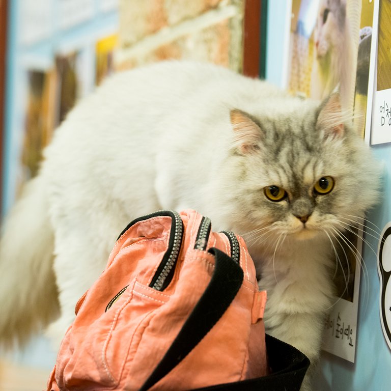 DSC_0093.jpg