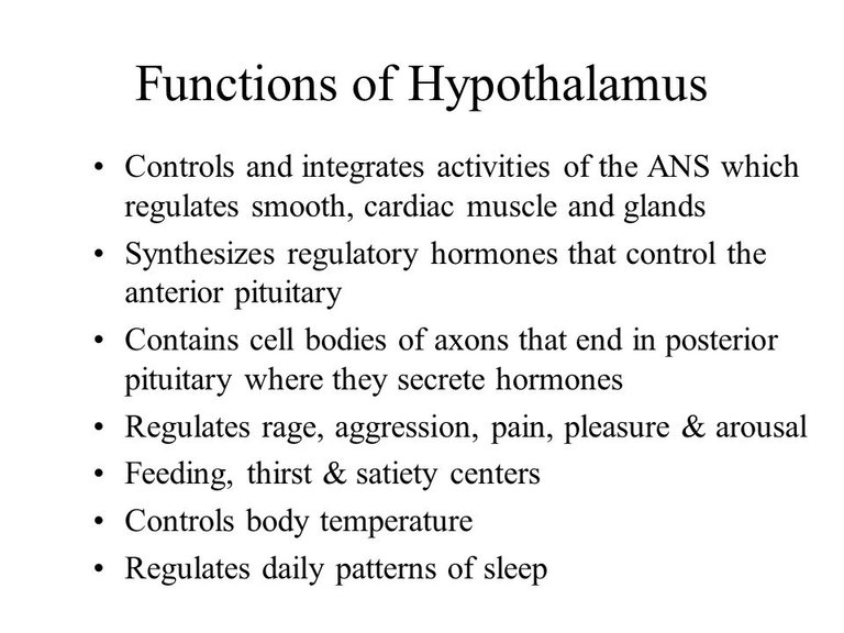 Functions+of+Hypothalamus.jpg