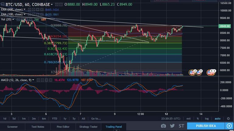 BTC 2-12 Zoom.JPG