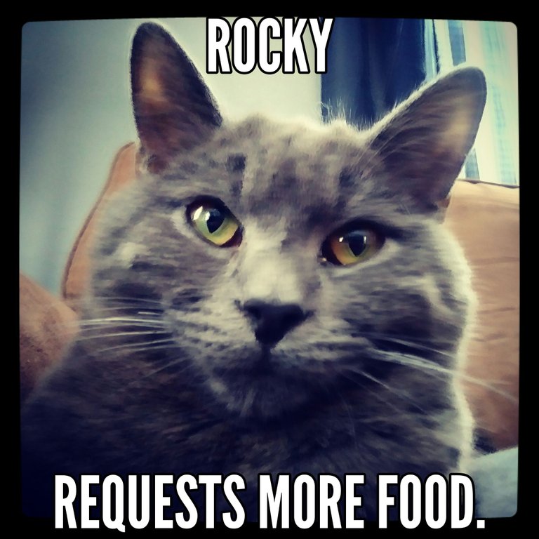 RockyFoodMeme.jpg