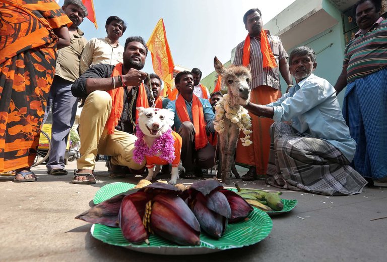 Chennai, India.jpg