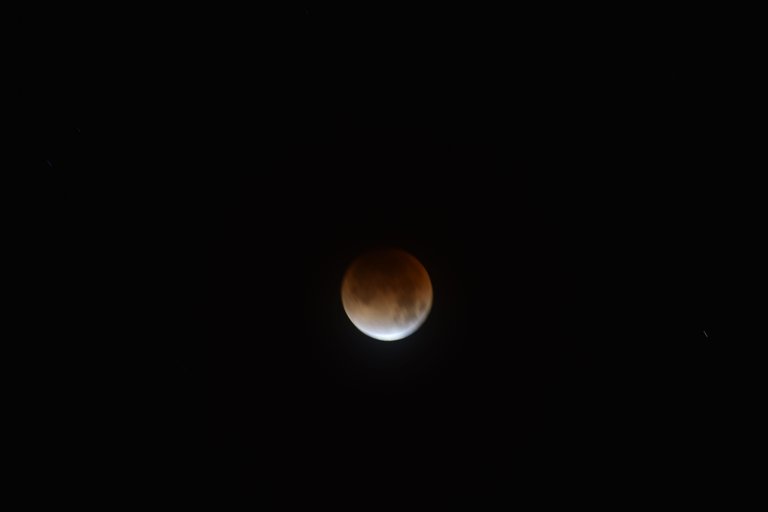 DSC_1376.JPG