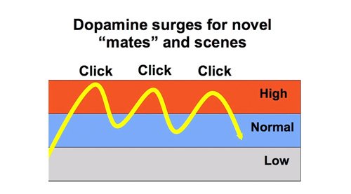 DopamineSurges.jpeg