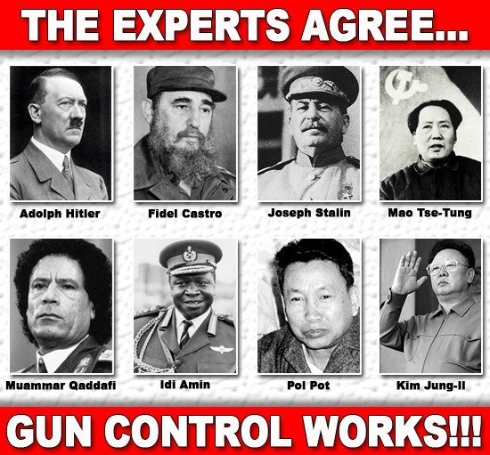 e104f1a384288ef64a176612917ed51c--gun-control-meme-funny-politics.jpg