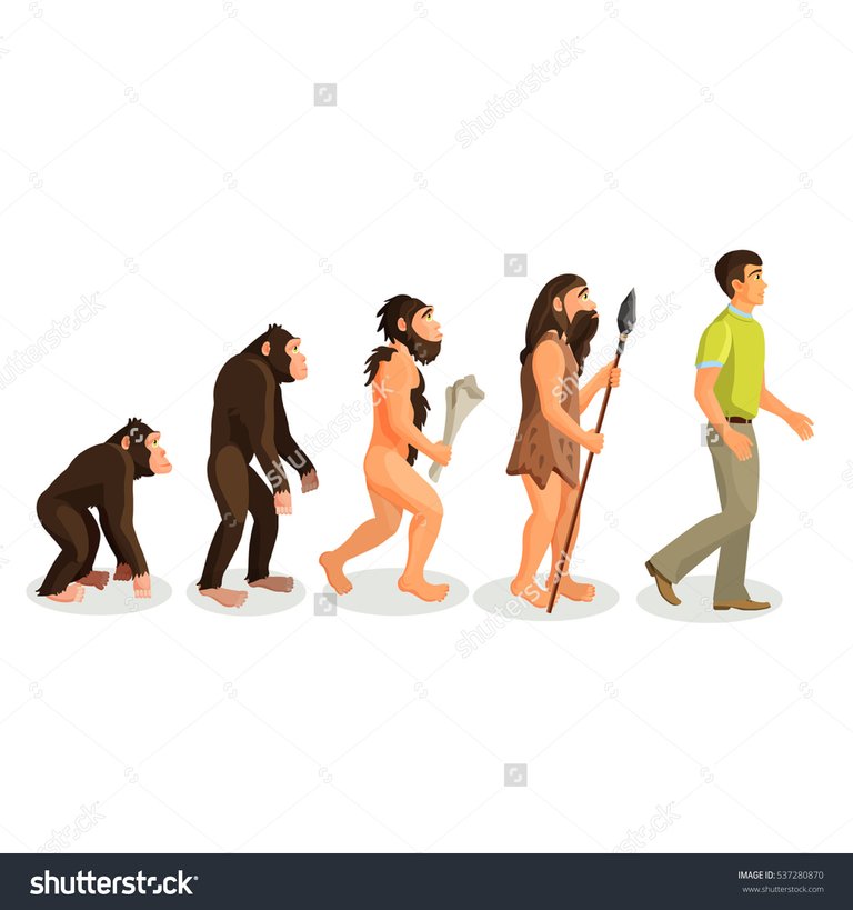 stock-vector-evolution-ape-to-man-process-isolated-537280870.jpg