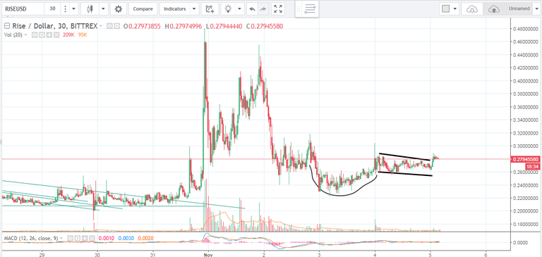 RISE 30 min candle chart