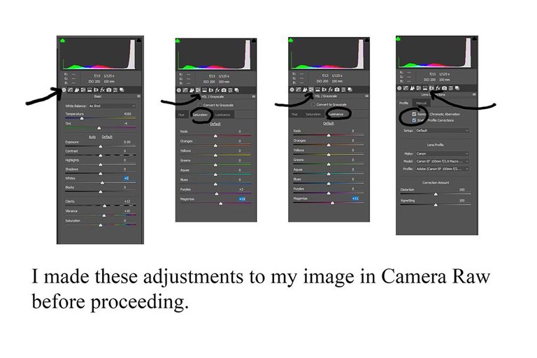 fig-2.jpg