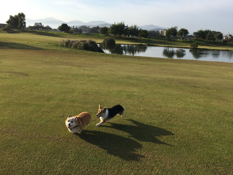 corriendo en Marbella.JPG