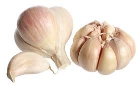 garlic.jpg