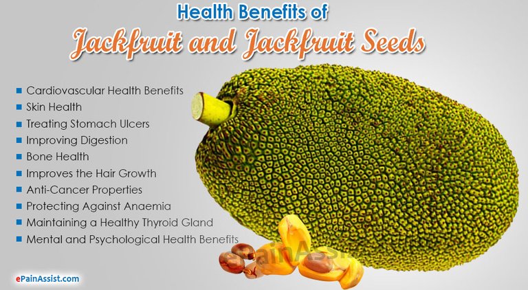 jackfruit-jackfruit-Seeds.jpg