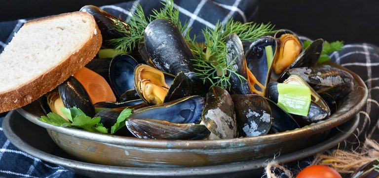 mussels-3148439_960_720.jpg