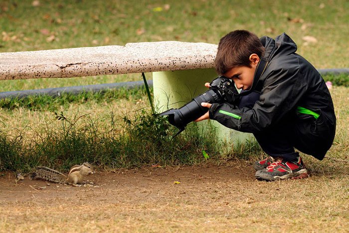 wildlife-photography-history.jpg