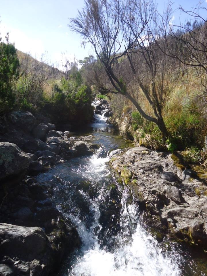 Mt Kenya River.jpg