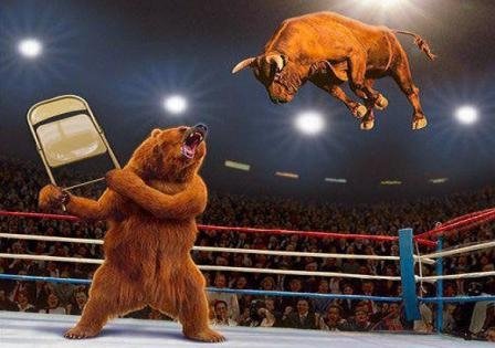 bear vs bull.jpeg