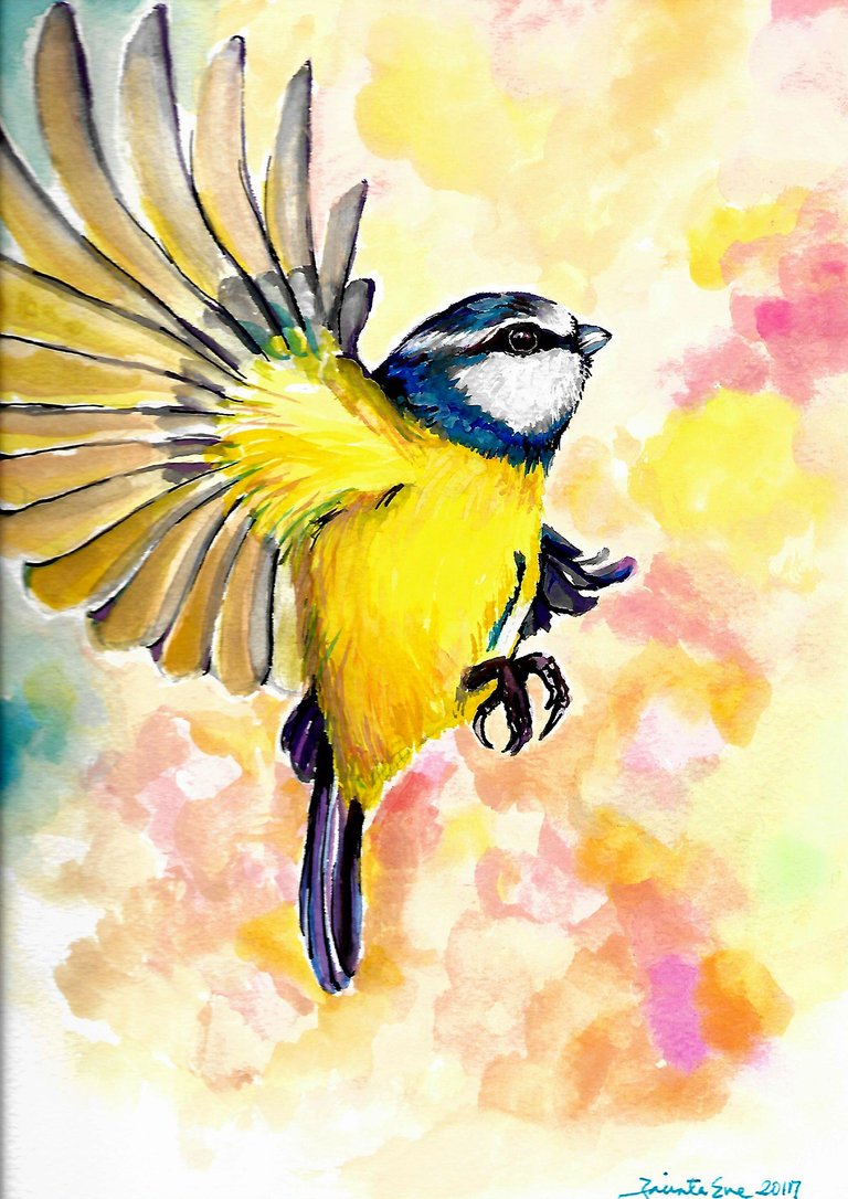 blue_tit_by_jyacini.jpg