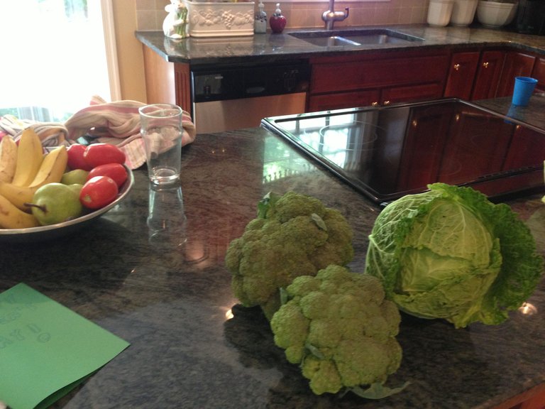 Broccoli Savoy Harvest.JPG