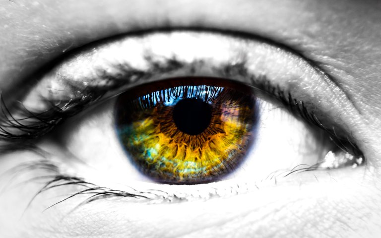 Eyes - Black and White and Color no logo-1.jpg