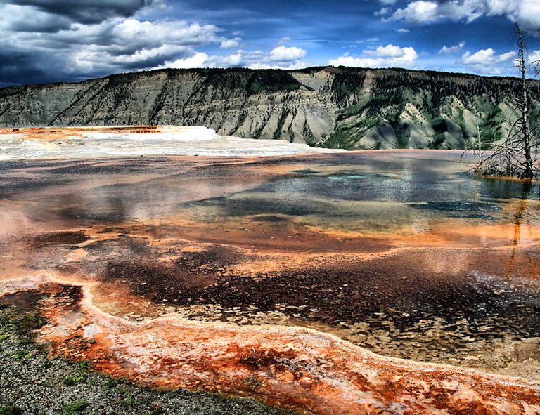 779px-Mammoth_Hot_Springs_in_yellowstone_7.jpg