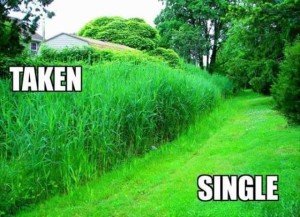 Taken-vs-single-adult-meme-300x217.jpg