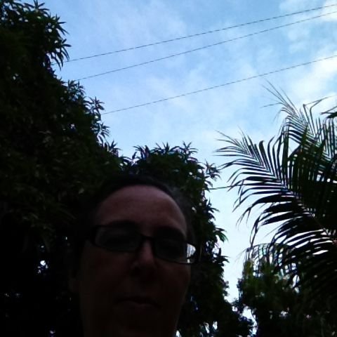 me and a mango tree