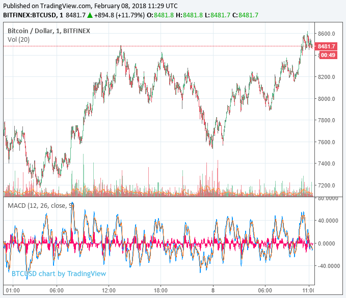 bitcoin-price-feb8.png