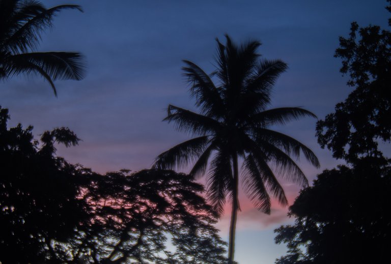 Mauritius_Safran at Shangri La Le Touessrok-1111759.jpg