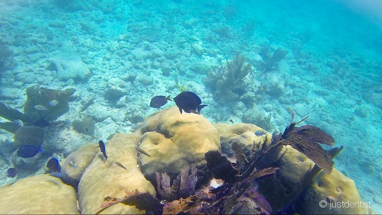 underwater world key largo.jpg