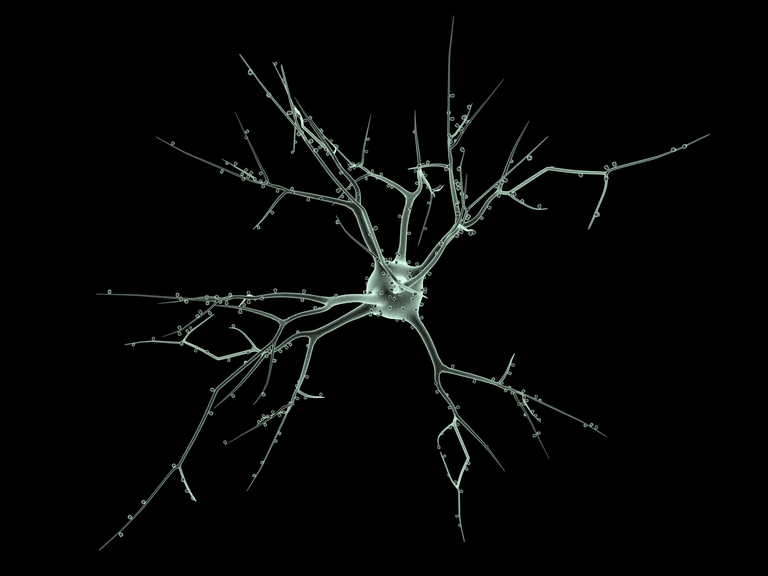 neuron.png