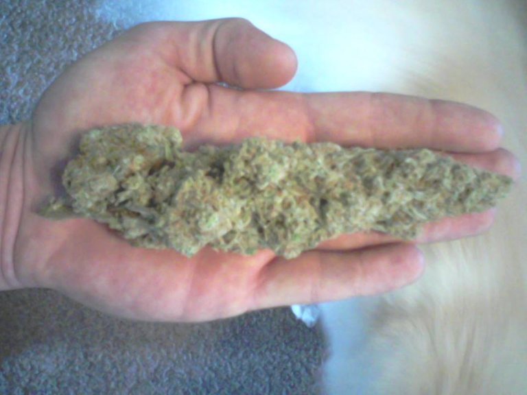 weed fat nug.jpg