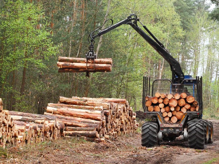 03-mining-and-forestry-manager-137691920-kletr-shutterstock-1024x768.jpg