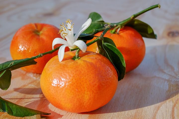 tangerines-3114765__480.jpg