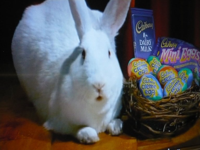 The cadbury bunny.jpg