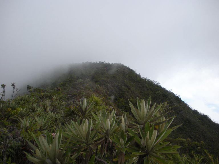 Lagunazo_09-02-2013 060.jpg