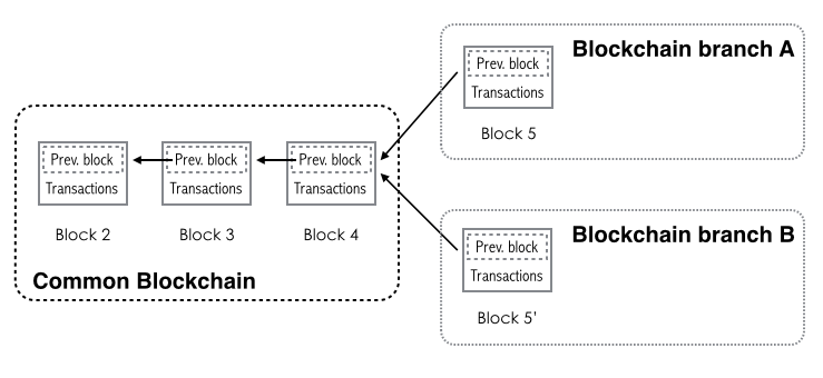 BTC-HD1.png