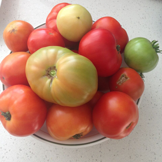 tomatoes.png