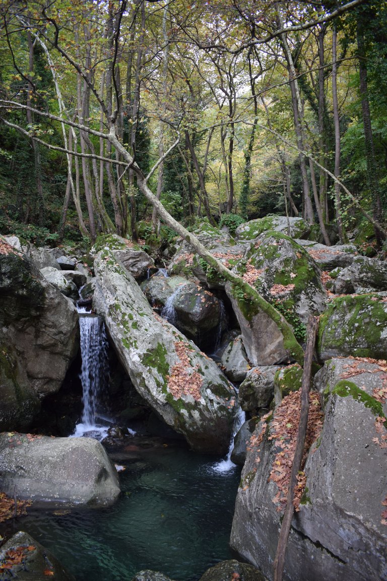 DSC_0089.JPG