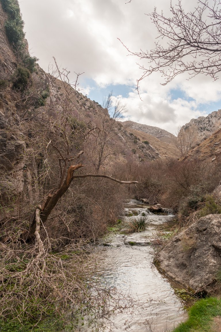 Excursión Martín del Río (83).jpg