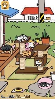 nekoatsume 6 cats.jpg