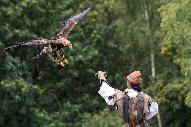 dresseur eagle.jpg